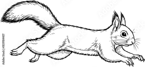 inkbound agility natures nimble dash, a symbolic representation of woodland energy, isolated on transparent background