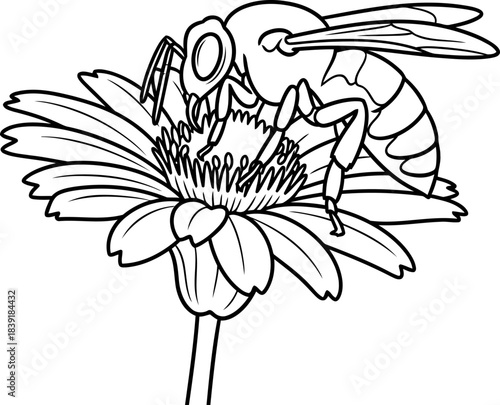 lifes simple cycle graphic beauty of a bees vital floral connection, isolated on transparent background