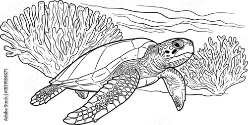 oceanic guardian journey through vibrant reefs, a symbol of pristine marine life, isolated on transparent background