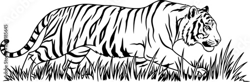 striped shadow graphic prowess of the jungles apex hunter in minimalist form, isolated on transparent background