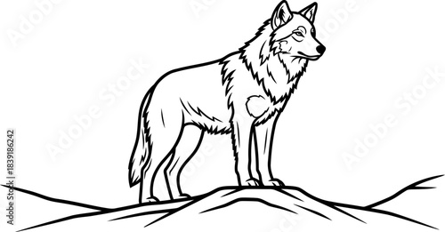 vanguard of the wild steadfast spirit observing the horizon, untamed and free, isolated on transparent background