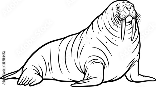 whiskered monarch of the ice enduring spirit of the polar seas, isolated on transparent background