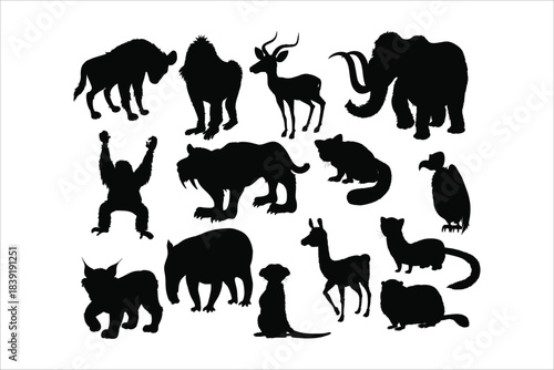 Set of wild animals, extinct beasts and birds black silhouettes
