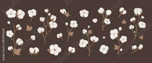 Soft cotton flower branches and natural cotton buds set in neutral colors for botanical design and rustic decor projects