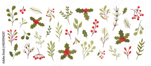 Winter botanical branches set with holly leaves, red berries, pine sprigs, mistletoe and festive greenery elements for Christmas design