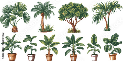 Cartoon tropical plant and tree set with potted foliage and palms for botanical, interior, and landscaping themes.
