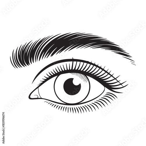 Stylized Human Eye with Eyelashes and Eyebrow Line Art