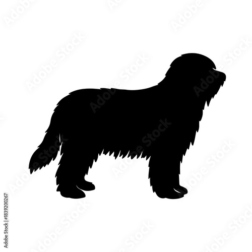 Bergamasco Shepherd Silhouette Icon – Realistic Minimal Vector Design on Transparent Background