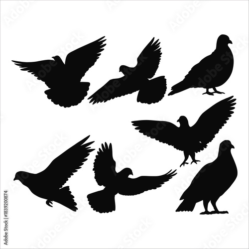 ollection of flying and perched pigeon bird silhouettes vector set