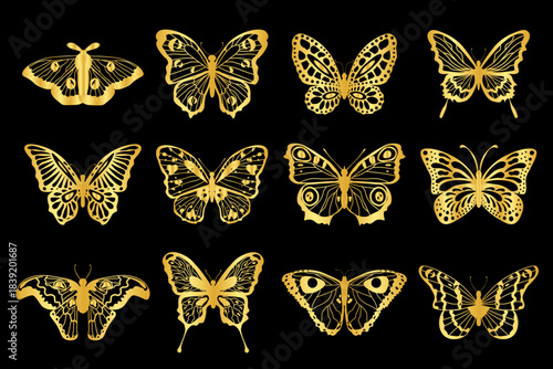 Collection of 12 golden pattern decorative butterflies, night moths.Vector graphics.