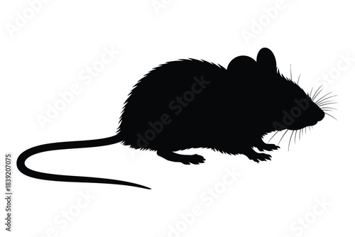 A detailed vector silhouette illustration of a mouse or small rodent isolated against white background