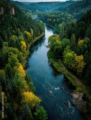 Explore a scenic river surrounded by lush trees in autumn at a beautiful location