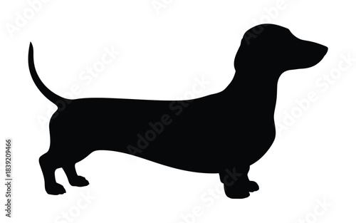 A black silhouette of a dachshund dog standing in profile view against a clean white background