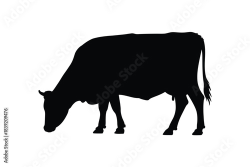 A black silhouette illustration of a cow grazing on white background