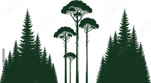 Collection of black circular arrows and rotation symbols on a white background