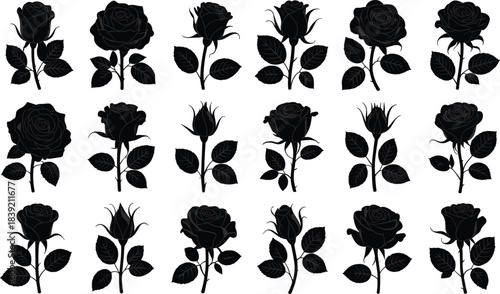 Black rose silhouettes with leaves illustrator vector