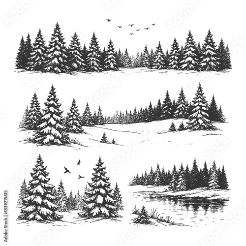 Peaceful Winter Pine Forest Landscape in Detailed Black and White Vintage Line Art Vector, Ideal for Nature-Themed Prints, Outdoor Scenery Designs, and Environmental Illustration Projects