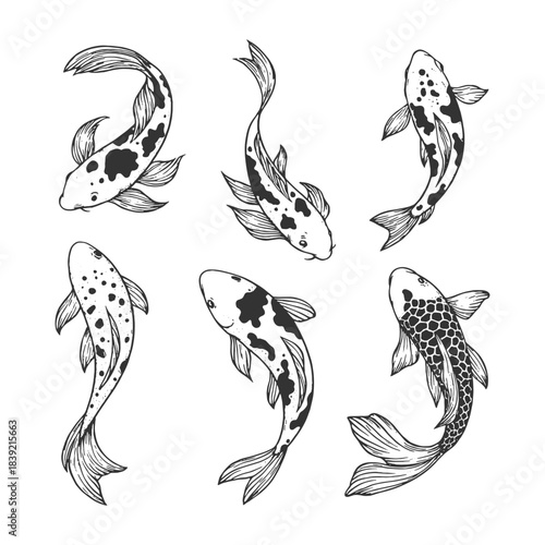 Elegant Koi Fish Collection in Artistic Black and White Line Art Vector Style, Ideal for Tattoo Designs, Asian Themes, Decorative Patterns, and Creative Illustration Work