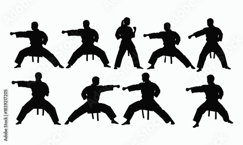 Professional Martial Arts Silhouettes Taekwondo Motion Set