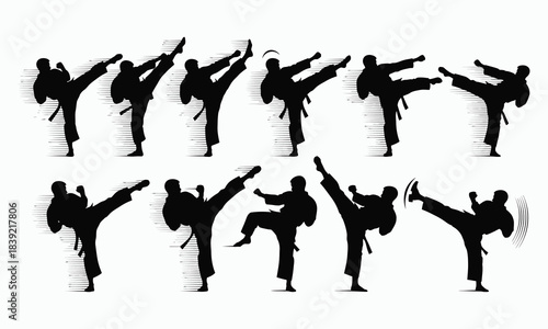 Professional Martial Arts Silhouettes Taekwondo Motion Set
