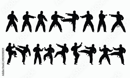 Professional Martial Arts Silhouettes Taekwondo Motion Set
