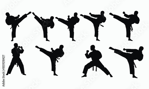 Karate Champion Poses Combat Training Silhouette Pac