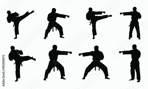 Karate Champion Poses Combat Training Silhouette Pac