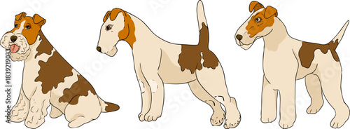 Vector colored elements of traditional horse hunting. For education materials, design 