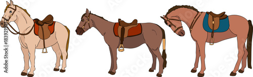 Vector colored elements of traditional horse hunting. For education materials, design 