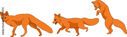 Vector colored elements of traditional horse hunting. For education materials, design 