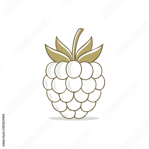 Isolated bramble fruit drawing with olive leaves. Botanical illustration, berry fruit, delicious, and organic natural food ingredients.