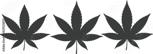 Three cannabis leaves in black and white silhouette against a white background