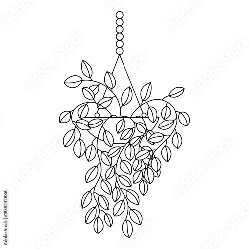House plant in hanging macrame pot vector sketch