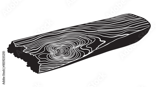 A detailed black and white illustration of a wooden plank with visible wood grain texture and rings, showcasing a natural and rustic design element on a pure white background.