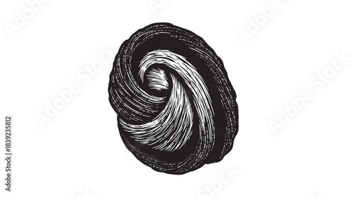 A black swirl design element with detailed texture and shading, presented in a circular form with smooth curves, isolated on white background