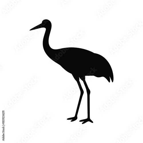 Elegant silhouette of a standing crane bird with long legs and neck