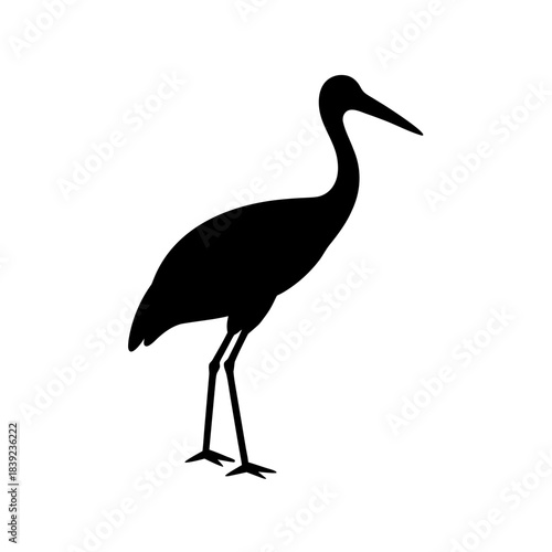 Silhouette of a graceful crane standing elegantly with long legs and a pointed beak