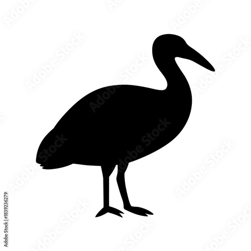 Silhouette of a wading bird with long curved beak standing gracefully isolated