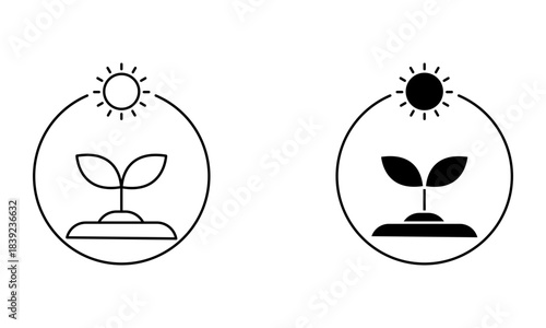 plant growing under the sun and the photosynthesis cycle icon vector