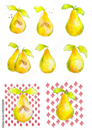 Ilustração de peras aquareladas em estilo botânico – padrão decorativo com frutas