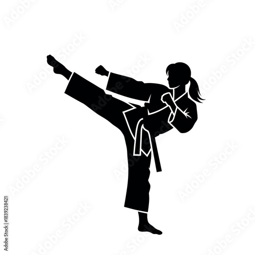 Female Martial Artist Silhouette High Kick.