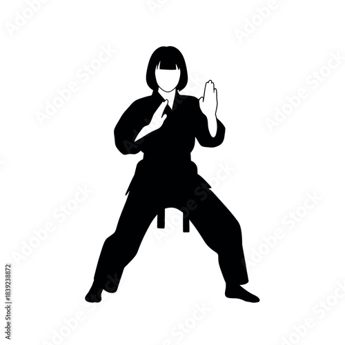 Silhouette of a person in a martial arts stance.