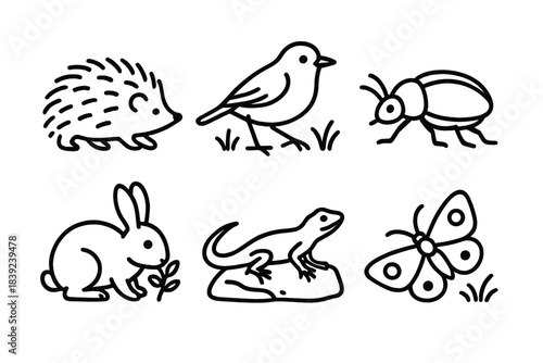 Backyard Wildlife Icons. Backyard Creature Scenes linear set: hedgehog stroll, songbird hop, beetle crawl, rabbit nibble, lizard sunning, moth flutter.