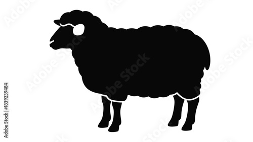 A striking black silhouette of a domestic sheep standing in profile