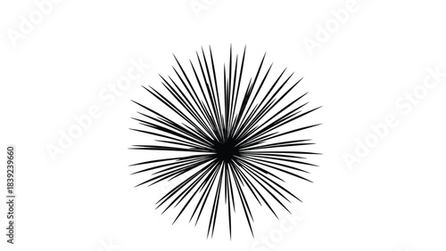 A striking black and white illustration of a spiky radial sea urchin form