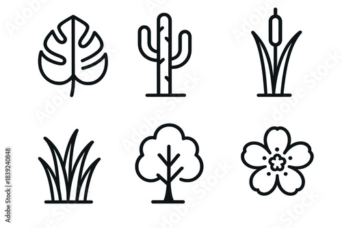 Global Plant Icons. Global Plant Types linear set: rainforest leaf, arid-zone plant, wetland reed, temperate tree, grass tuft, blossom detail.
