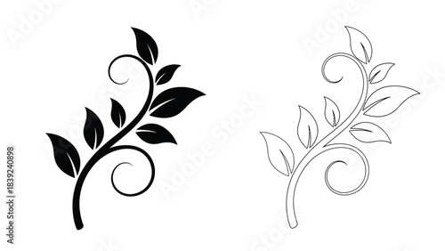 Elegant floral branch designs a black and a line art illustration