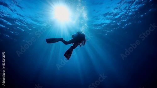 Wallpaper Mural A silhouette of a diver swimming underwater with sunlight filtering through the waters surface. The diver is wearing a wetsuit and fins, and is captured in a dynamic pose, suggesting motion. Torontodigital.ca