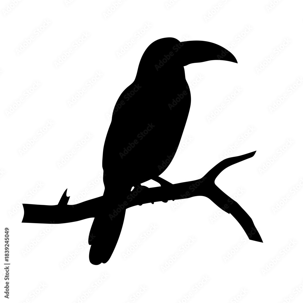 Fototapeta premium Black silhouette of a toucan perched on a tree branch silhouette