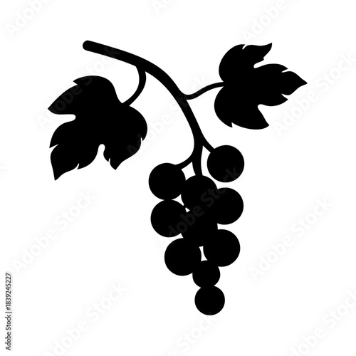 Black silhouette of a grape vine branch with leaves and fruit